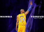 熊猫体育2026-蜀地奇迹，四川队力克凯尔特人，西亚卡姆刷新纪录之夜