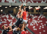 熊猫体育直播-当奇才的冰封遇上骑士的火焰，哈利伯顿里程碑之夜的双重叙事